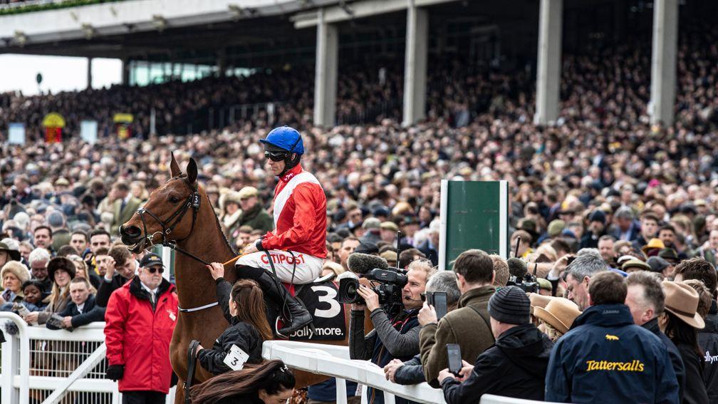 Envoi Allen: carries the hopes of a Betfair punter who stands to win more than £500,000