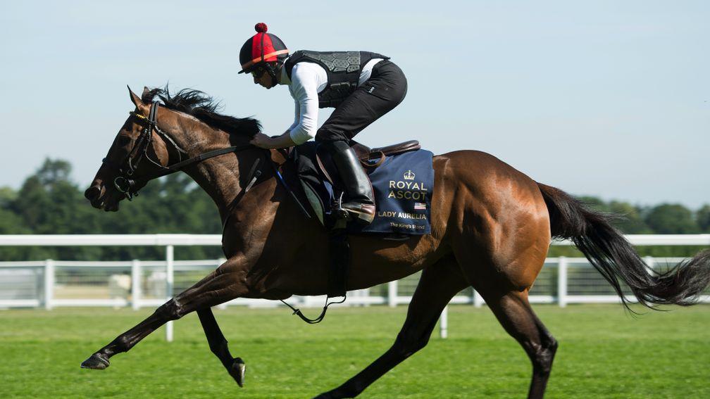 Lady Aurelia will breeze on Monday as Wesley Ward counts down to the Nunthorpe Stakes