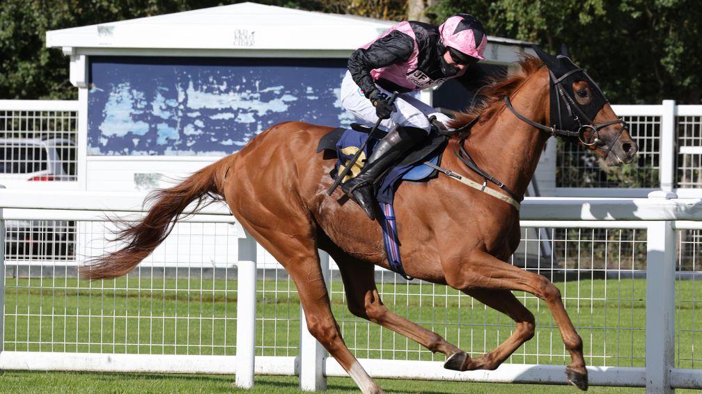 Jorgie: suffered a fatal injury after victory at Musselburgh on Wednesday