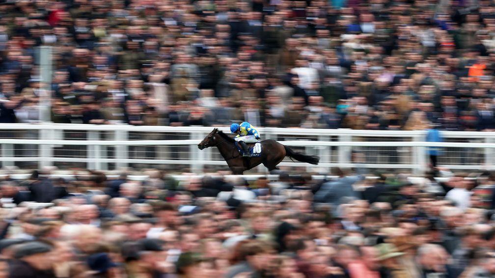 Harry Skelton on board Langer Dan on their way to winning the Coral Cup at the 2024 Cheltenham Festival