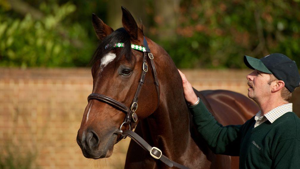 Frankel receives a reassuring pat from Rob Bowley shortly after his arrival at Banstead Manor Stud in 2012