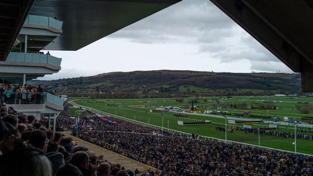 An extra day at Cheltenham could allow more people to witness the spectacle