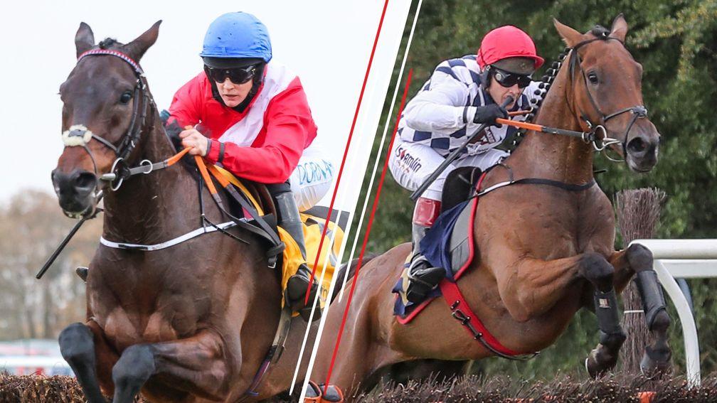 A Plus Tard (left) and Galvin: leading contenders in Friday's Cheltenham Gold Cup (3.30)
