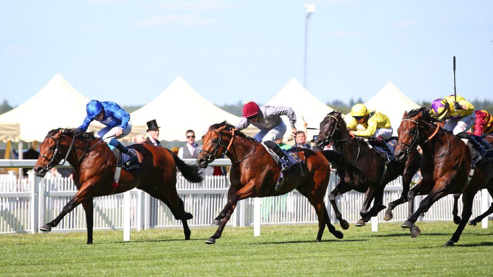 ASCOT, ENGLAND - JUNE 14:  Coroebus ridden by William Buick wins The St James's Palace Stakes during Royal Ascot 2022 at Ascot Racecourse on June 14, 2022 in Ascot, England. (Photo by Alex Livesey/Getty Images)