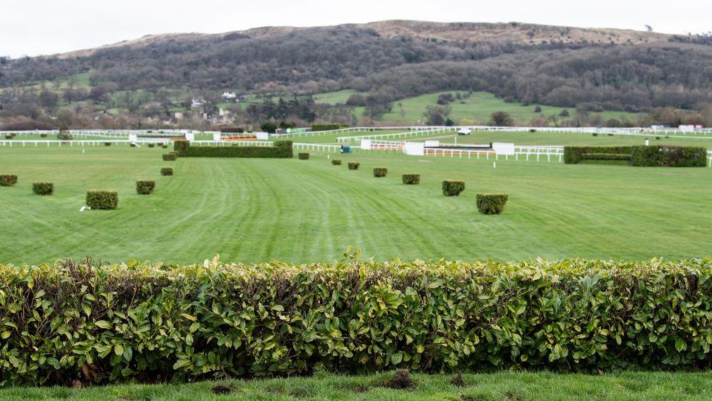 The cross country course at Cheltenham, which has had 30mm of water applied in recent weeks
