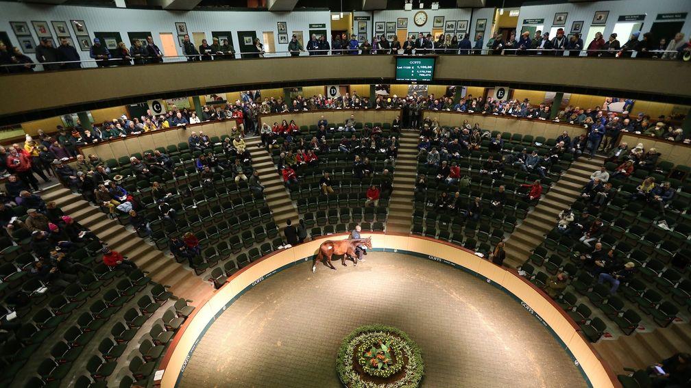 The mares take centre stage at Goffs on Monday
