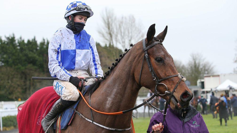 Mr Incredible: one of the favourites for next month's Randox Grand National