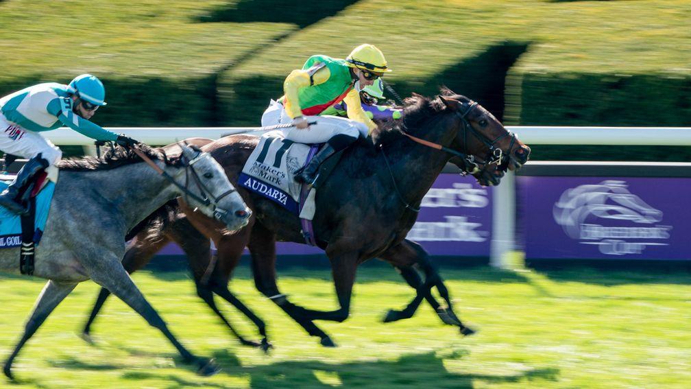 Audarya (yellow cap) wins the Breeders' Cup Filly & Mare Turf