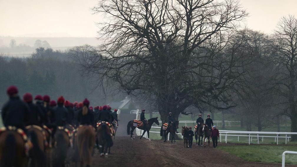 Aidan O'Brien's string on the gallops at Ballydoyle on Monday