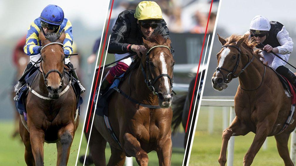 From left: Trueshan, Stradivarius and Kyprios are on course to clash in the Gold Cup