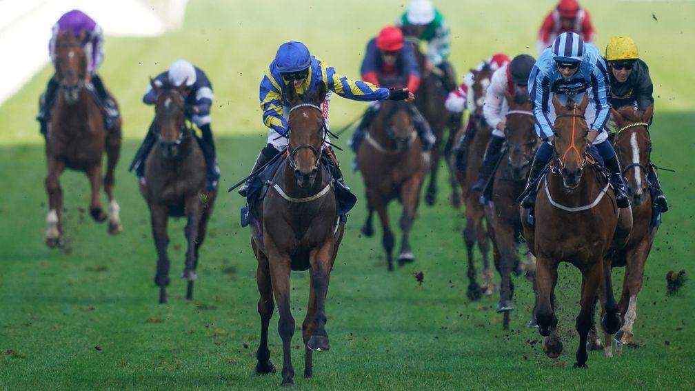 Tashkhan and Ben Robinson (right of picture, striped sleeves and cap) chasing home Trueshan in the Long Distance Cup at Ascot