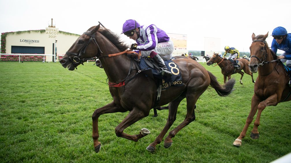 Perotto (Oisin Murphy) wins the Britannia StakesAscot 17.6.21 Pic: Edward Whitaker/Racing Post