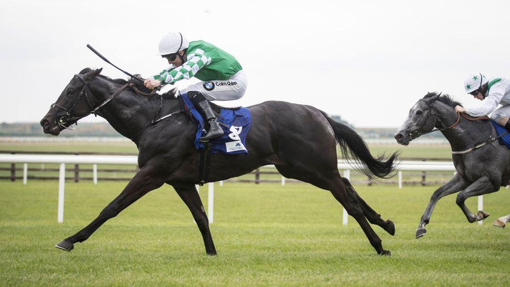 Indigo Balance: holds strong claims at Tipperary