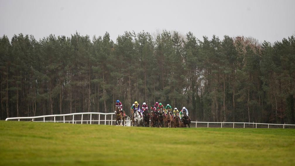 A high-class Sunday card is in store at Punchestown today