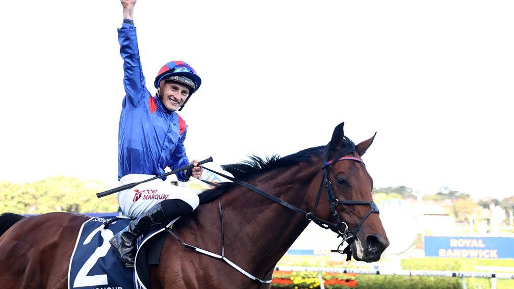 Dubai Honour: victorious in the Queen Elizabeth II Stakes at Randwick