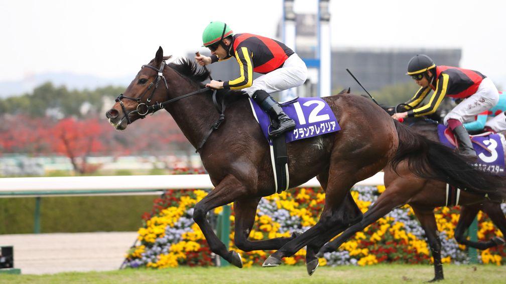 Gran Alegria caps her marvellous career with victory in the Mile Championship at Hanshin