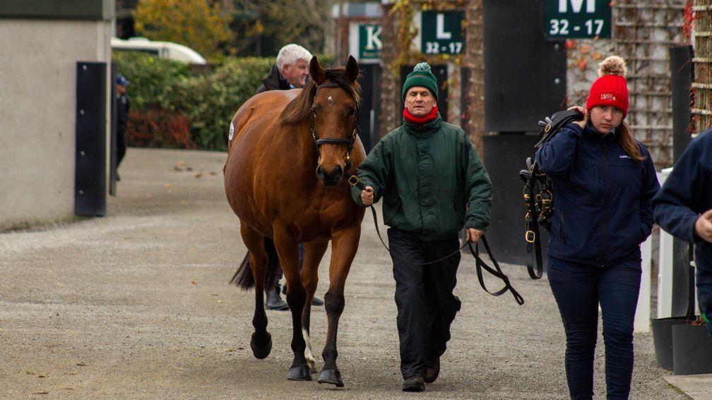 Munajaah on her way out of Goffs