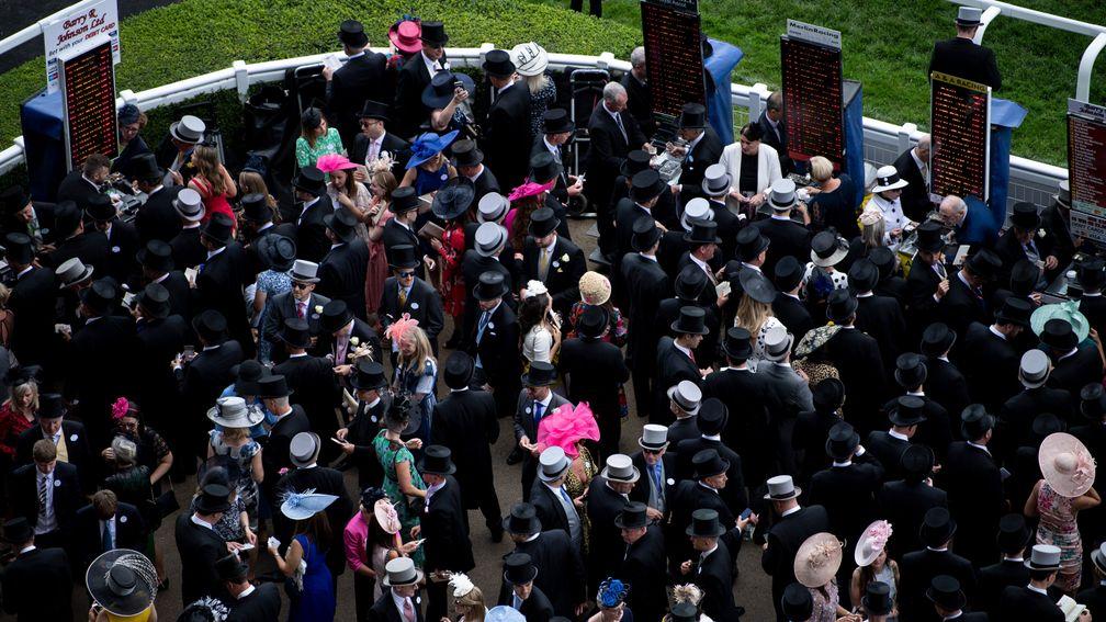 With the increased crowds at Royal Ascot next week the betting ring should be buzzing