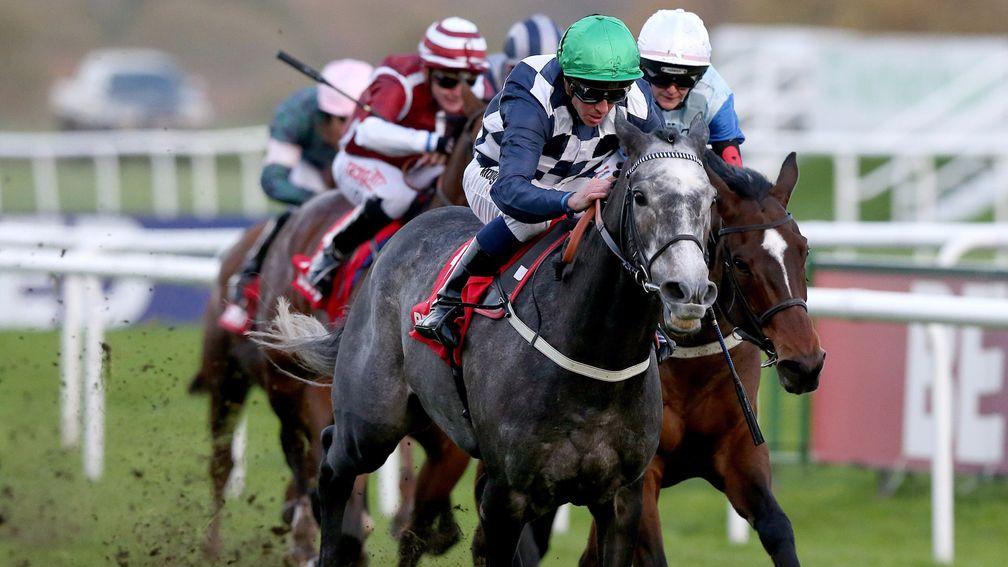 Saunter: back to the scene of his November Handicap win in the Doncaster Cup