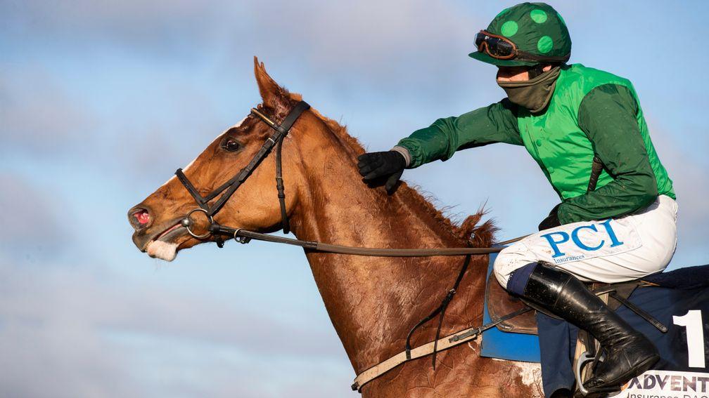 Concertista: the Willie Mullins-trained ace has a big chance in this year's Mares' Hurdle