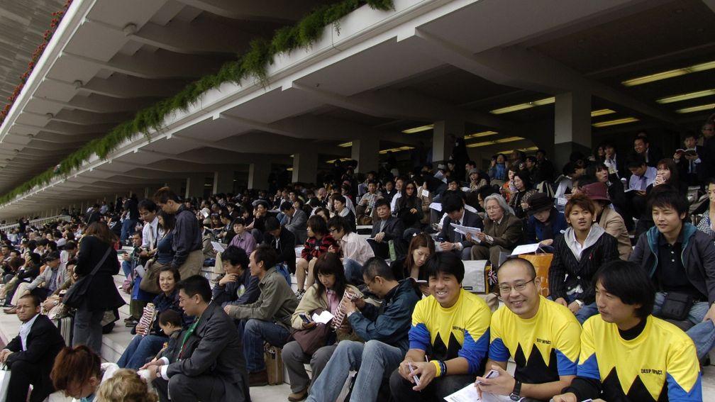 Sporting colours: three Deep Impact supporters wearing owner Masato Kaneko's silks join thousands of Japanese racing fans at Longchamp to see their hero challenge for the Arc in 2006.