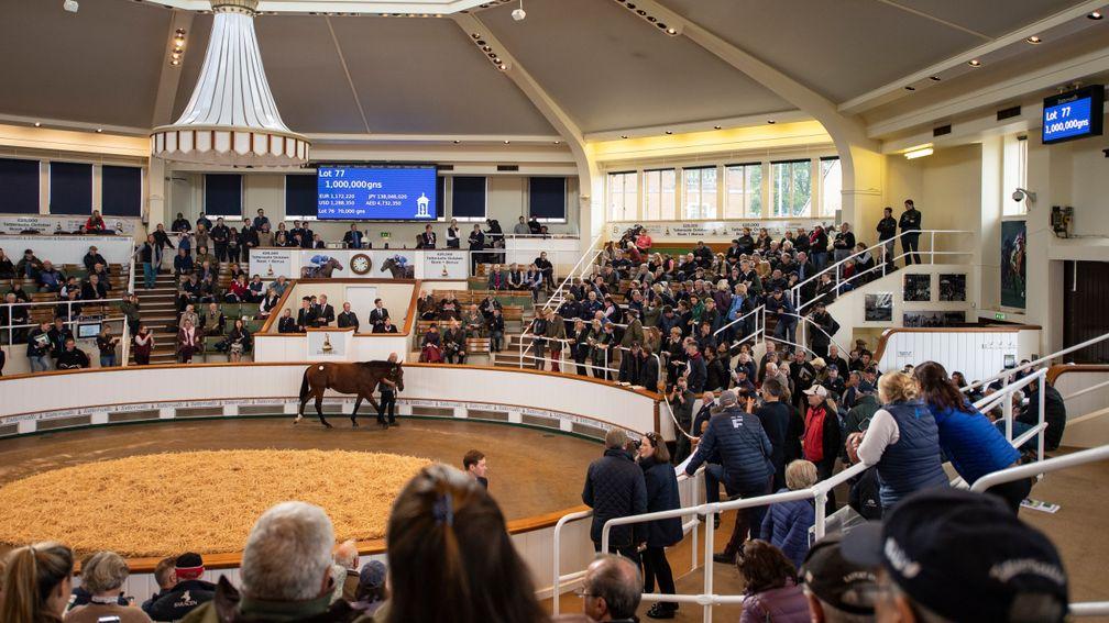 The Dubawi colt out of The Fugue brings 1,000,000gns from David Redvers