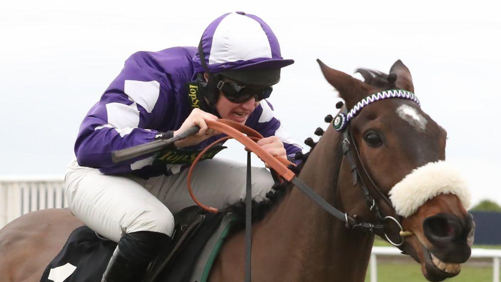 Sean Quinlan will ride Lady Buttons (pictured) for the first time at Doncaster