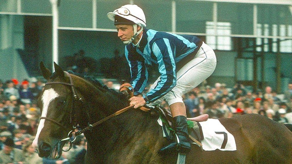 Nureyev: among the stallions to have stood under the Walmac banner