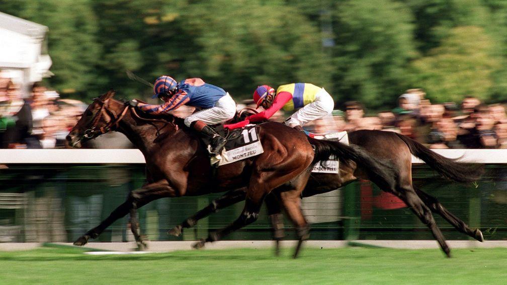 Montjeu: won the Arc in 1999