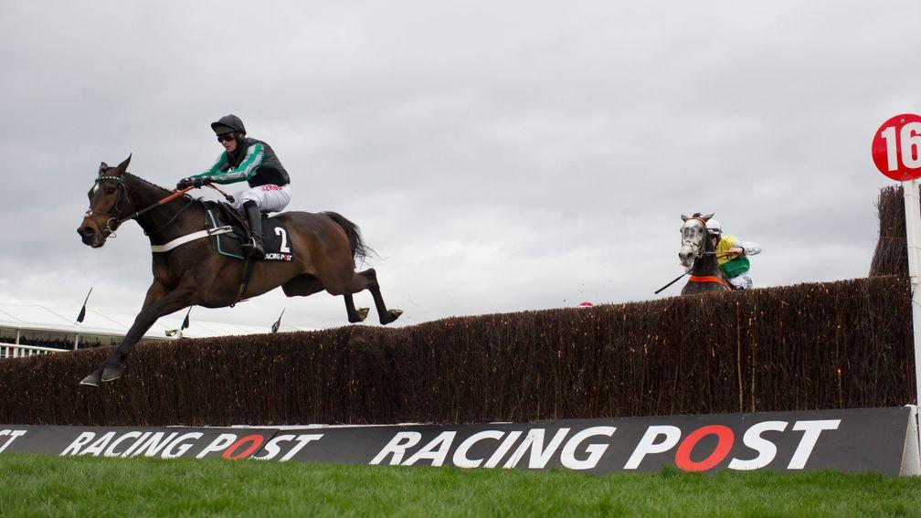 Last season's leading novice Altior jumps the last clear in the Racing Post Arkle Chase. His five other novice chases were all contested by no more than four runners.