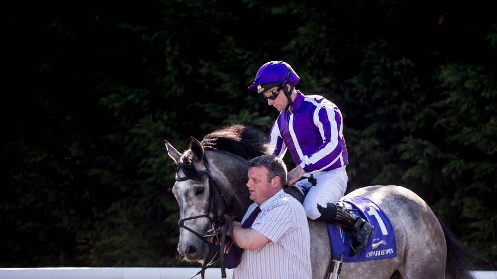 Capri: broke his maiden at the Galway Festival; can his sister do the same?