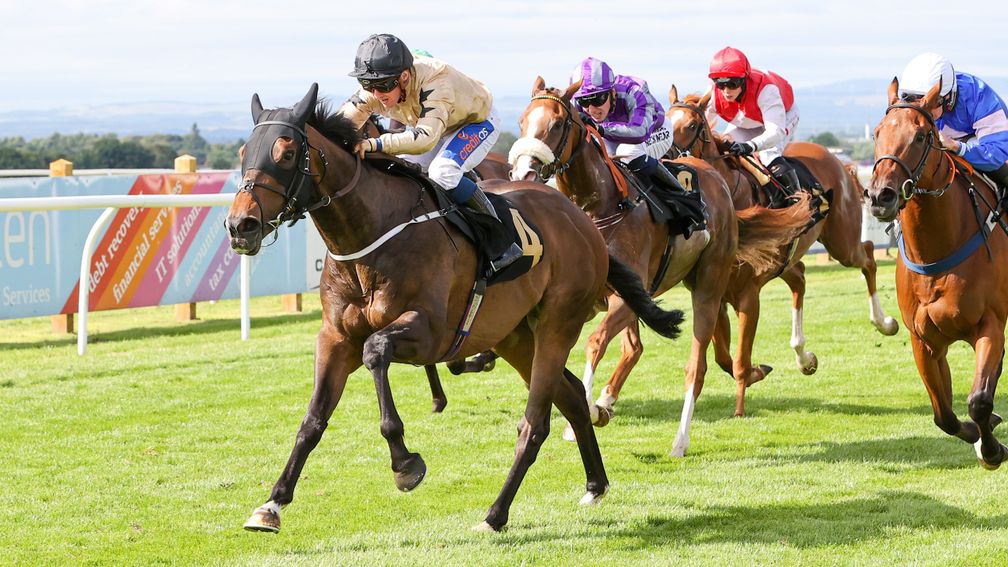 Runninwild causes another upset with a 50-1 win