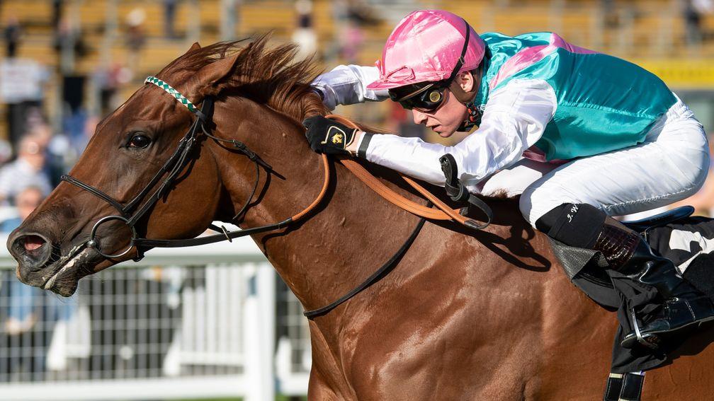 Quadrilateral: unbeaten filly showed excellent form as a juvenile