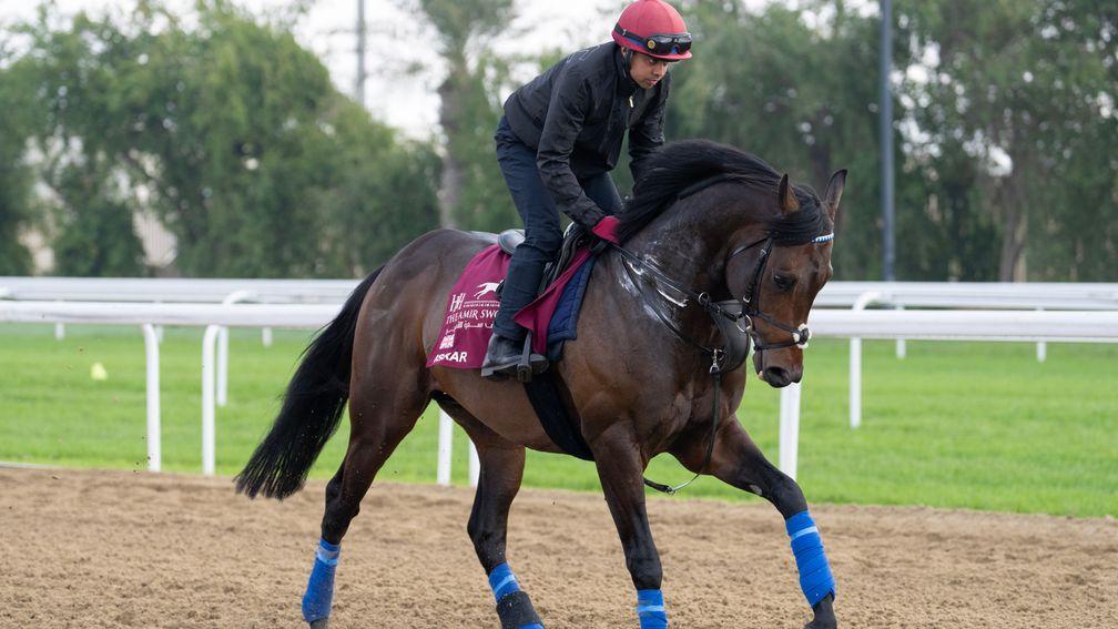 Israr: worked on the Dirt at Al Rayyan on Wednesday morning