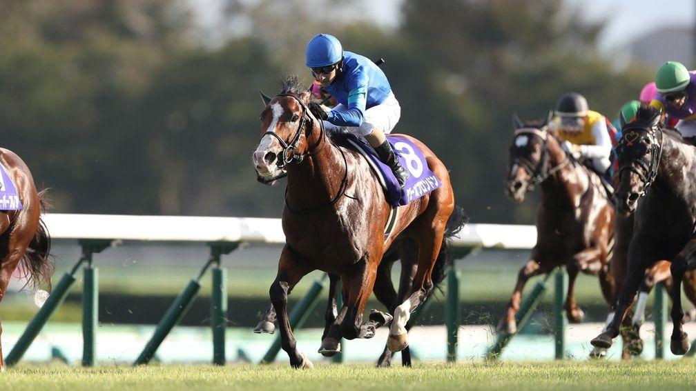 Tower Of London came fast and late to win the Sprinters Stakes at Nakayama last September