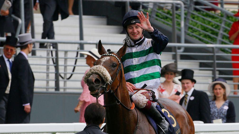 Dashing Willoughby: will be aimed at the Melbourne Cup