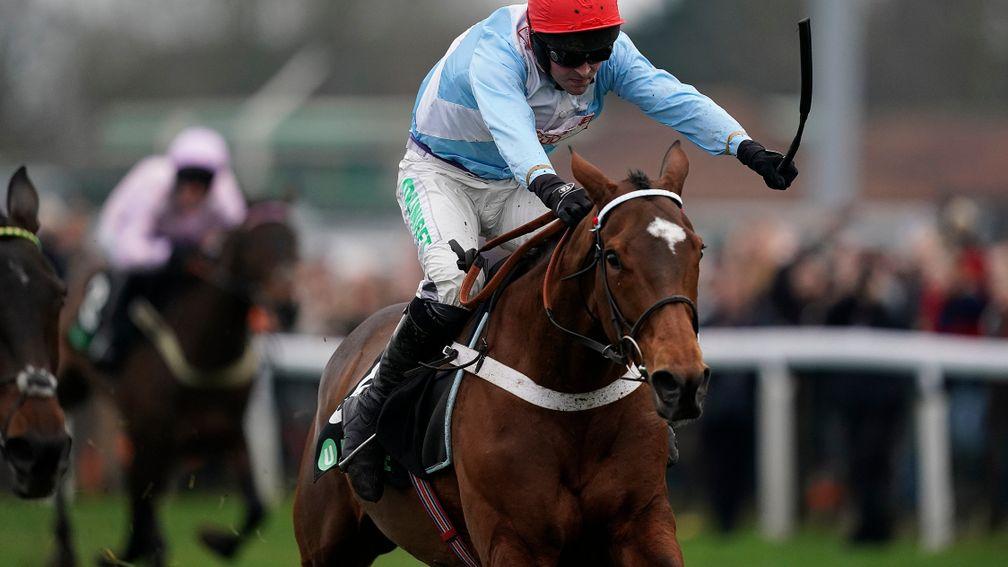 Verdana Blue: beaten on the Flat on the all-weather but still on course for the Cheltenham Festival