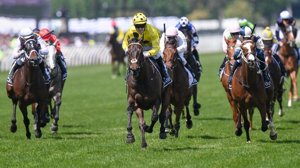 Without A Fight leads home the Melbourne Cup field