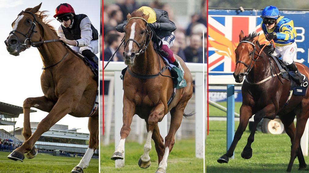 From left: Kyprios, Stradivarius and Trueshan are set for a mouthwatering three-way showdown at Goodwood on Tuesday