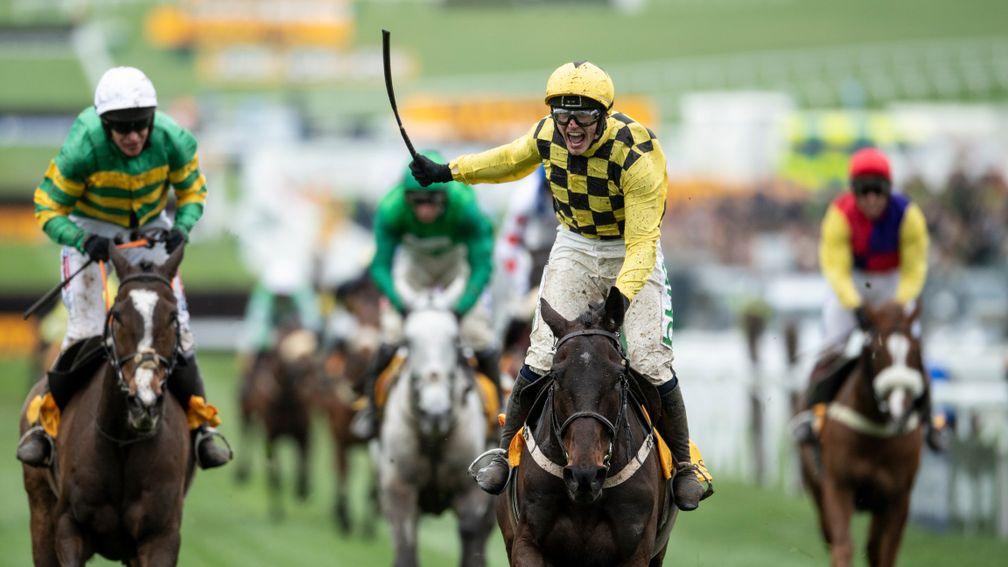 Al Boum Photo (centre) leads home a French-bred one-two-three in the Cheltenham Gold Cup, with Anibale Fly (left) second and Bristol De Mai (grey horse, centre) third