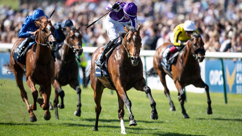 Saxon Warrior: the son of Deep Impact storms to success in the Qipco 2,000 Guineas