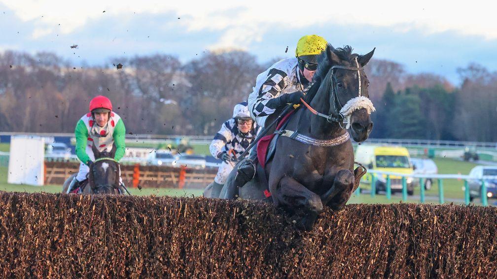 Cousin Pascal: won the Walrus Hunters' Chase at Haydock on Saturday