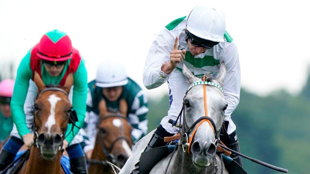 Alpinista: unbeaten in her last seven starts and could challenge Luxembourg for favouritism