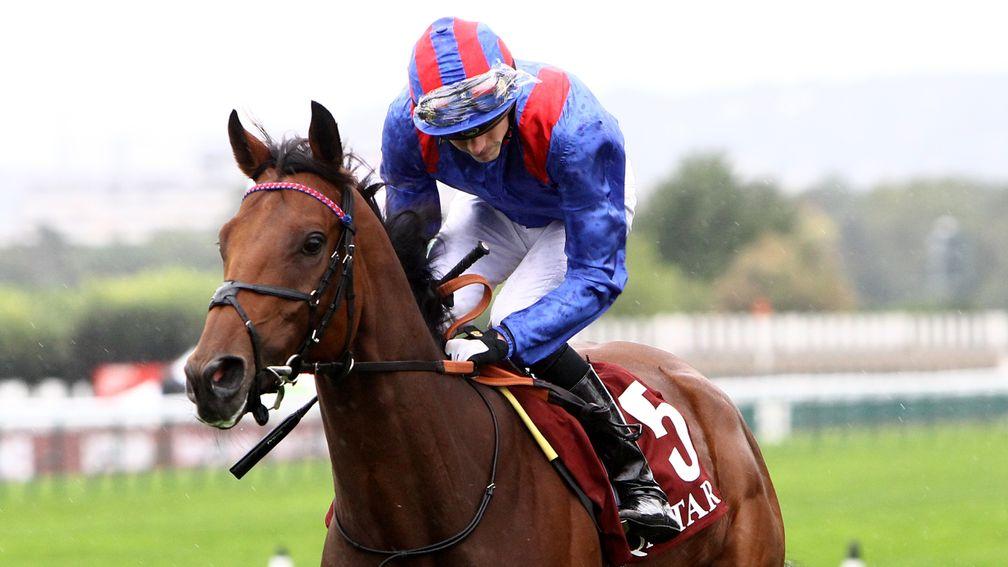 Dubai Honour: a two-time winner at Group 2 level in France this year