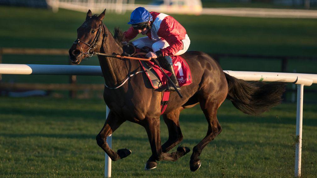 Malone Road makes a huge impression in winning at Punchestown
