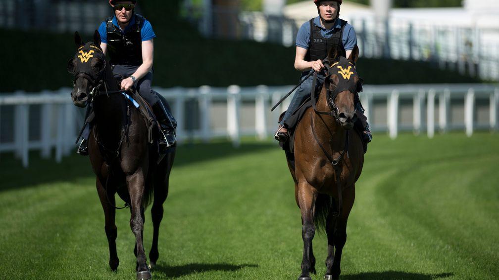 Nootka Sound (Pat Cosgrave, left) and Elizabeth Darcy (Jamie Spencer) getting to know Ascot last Monday