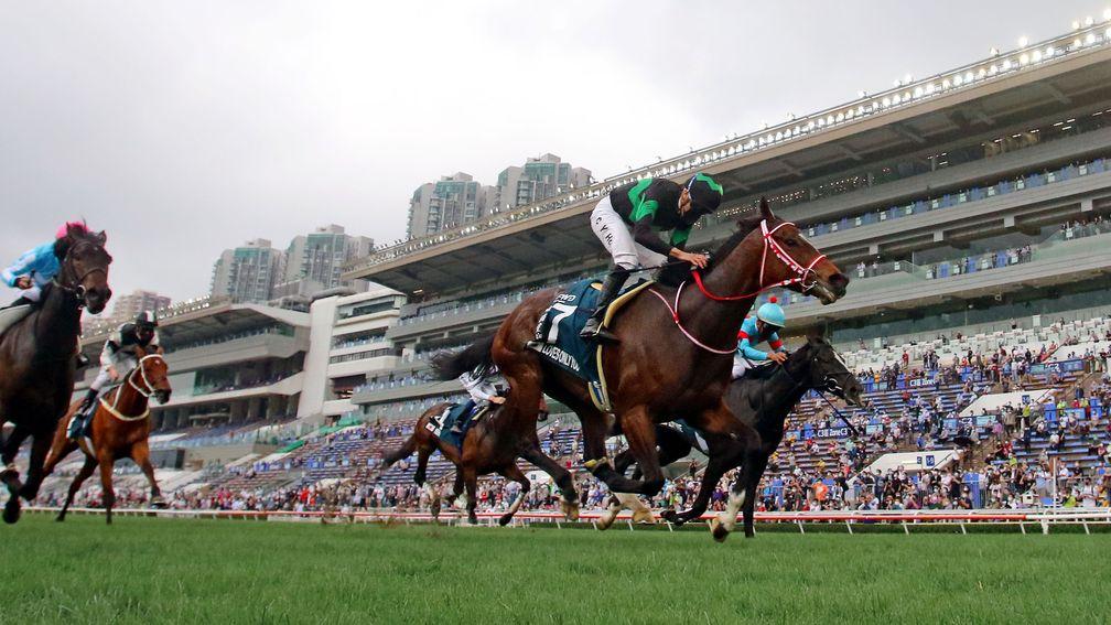 Loves Only You: winner of the Hong Kong Cup