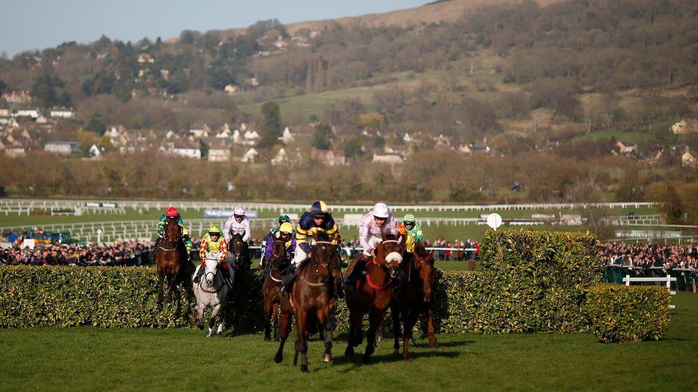 The countdown is on to the Cheltenham Festival