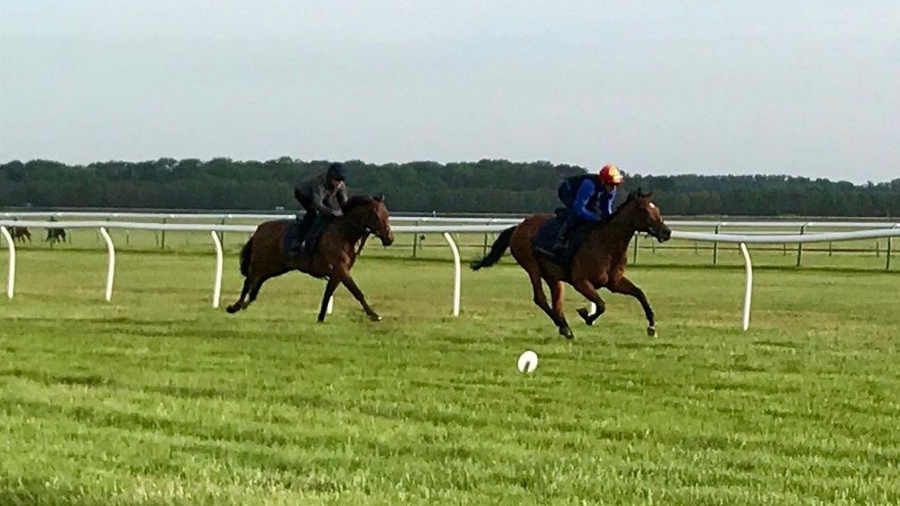 Flotus and Frankie Dettori in action on the watered gallop