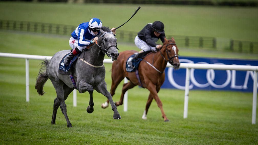 Art Power impressively takes the scalp of Millisle in the Lacken Stakes at Naas